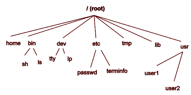 Unix File Structure