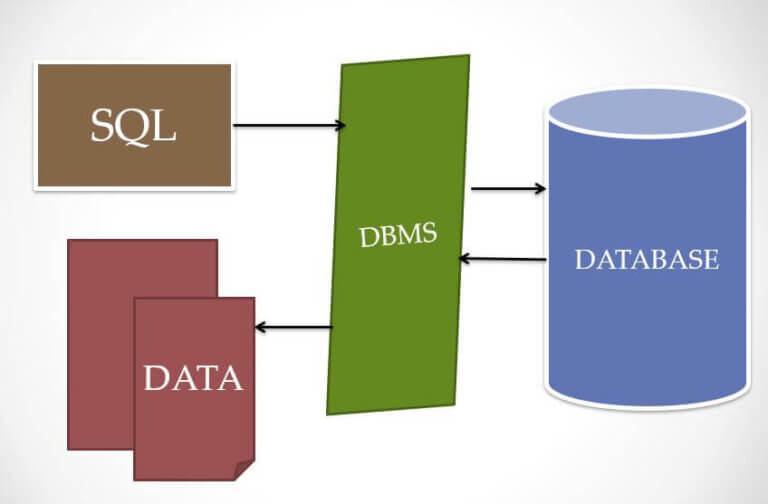 SQL Tutorial - Complete guide for Beginners - Tutorials Hut