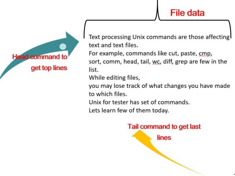 text processing unix commands: Head and tai command in Unix