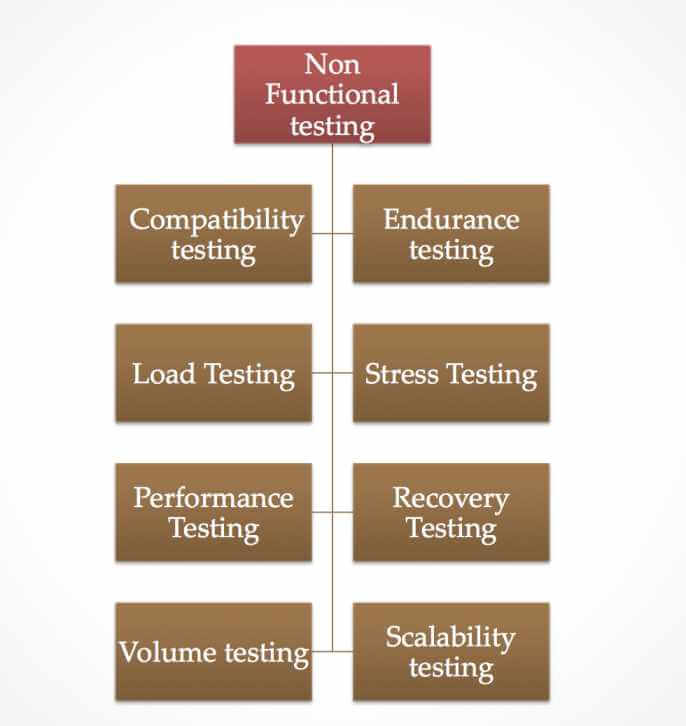 Functional Test