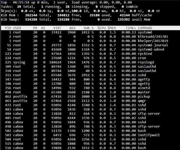 Unix Process Commands :Top command in Unix