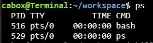 Unix Process Commands: ps