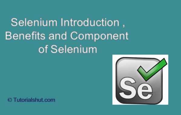 Selenium Introduction ,Benefits and Components of Selenium