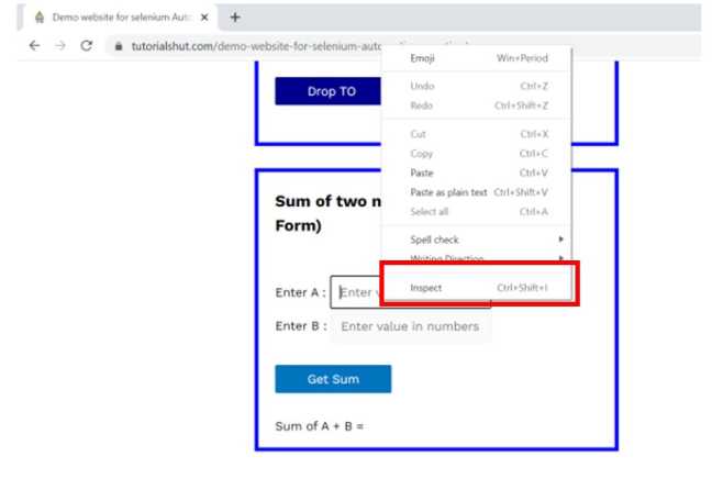 Selenium - How to inspect a element