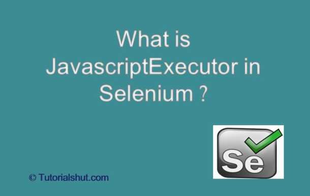 Selenium- JavascriptExecutor in Selenium