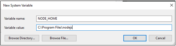 set environment variable nodejs