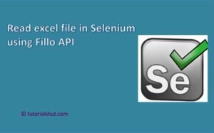 Read excel file in Selenium using Fillo API_1